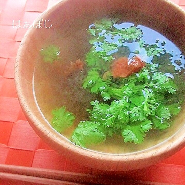 簡単！わさび菜と梅とろろ昆布のお吸い物